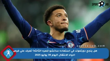 هل ينجح دورتموند في استعادة سانشو للمرة الثالثة؟ تعرف على فرص إحياء الانتقال اليوم 30 يوليو 2025